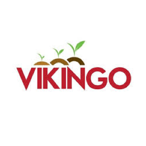 Vikingo